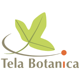 TelaBotanica